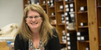 Research: Turtle shells served as symbolic musical instruments for indigenous cultures —