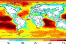 Tech: Sunlight drives molecules far from equilibrium, enabling new chemical pathways — (Report)