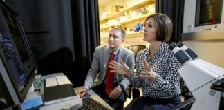 Study: Researchers now see ‘both the forest and the trees’ with 3D imaging method — (Details)