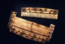 Research: DNA of early medieval Alemannic warriors and their entourage decoded —