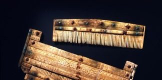 Research: DNA of early medieval Alemannic warriors and their entourage decoded —