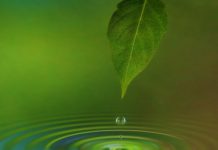 Tech: All-in-one light-driven water splitting — (Report)