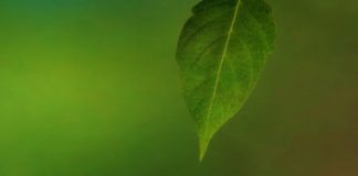 Tech: All-in-one light-driven water splitting — (Report)