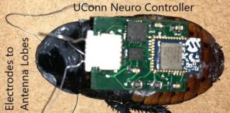Research: Scientists’ neuro-controller could improve performance of micro biobots —