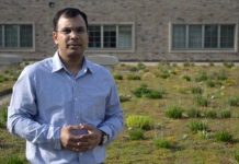 Tech: New study shows ways to maximize temperature-lowering benefits of Chicago’s green roofs — (Report)