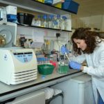 Study: Skin cells alert the immune system, when their DNA is damaged in the absence of infection — (Details)