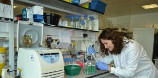 Study: Skin cells alert the immune system, when their DNA is damaged in the absence of infection — (Details)