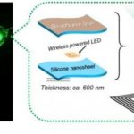 Study: Bioadhesive, wirelessly-powered implant emitting light to kill cancer cells — (Details)