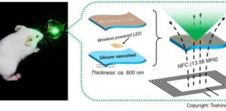 Study: Bioadhesive, wirelessly-powered implant emitting light to kill cancer cells — (Details)