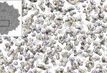 Research: Researchers image a virus with better resolution than ever accomplished before —