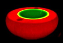 Research: Protocell guests flee the nest —