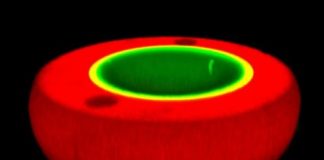 Research: Protocell guests flee the nest —