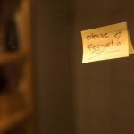 Study: Two brain regions apparently play a pivotal role in forgetting — (Details)