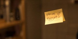 Study: Two brain regions apparently play a pivotal role in forgetting — (Details)