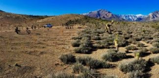 Research: Negative effects of low-severity fire on soil structure and organic matter —