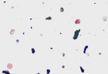 Tech: Analyzing roadside dust to identify potential health concerns — (Report)