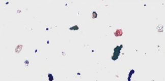 Tech: Analyzing roadside dust to identify potential health concerns — (Report)