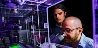 Study: ‘Evil’ proteins a force for good in estrogen receptor-positive breast cancer — (Details)