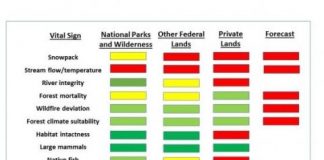 Research: Health of the Greater Yellowstone ecosystem —