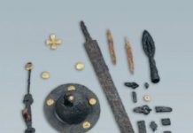 Research: Understanding 6th-century barbarian social organization and migration through paleogenomics —