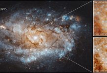 Tech: Astronomers witness birth of new star from stellar explosion — (Report)