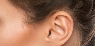 Research: Discovery of new neurons in the inner ear can lead to new therapies for hearing disorders —