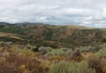 Research: Connectivity explains ecosystem responses to extreme events —