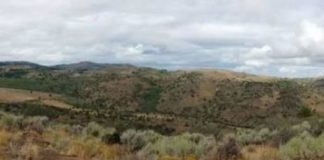 Research: Connectivity explains ecosystem responses to extreme events —