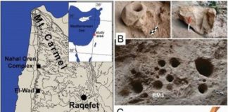 Research: A prehistoric thirst for craft beer —
