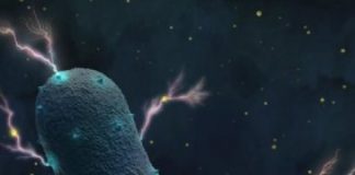 Research: They produce electricity —