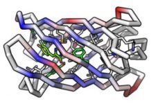 Tech: Advance makes possible creation of new beta-barrel proteins to precisely target small molecules — (Report)