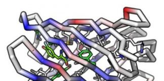 Tech: Advance makes possible creation of new beta-barrel proteins to precisely target small molecules — (Report)
