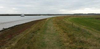 Research: Global coastal wetlands need to move inland in fight against climate change —