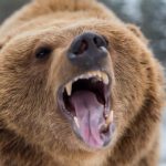 Study: The super-fast screening technology could help to discover new treatments — (Details)