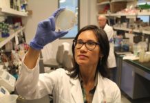 Research: Canadian scientists identify new cellular target to weaken P. aeruginosa — a severe threat to patients with cystic fibrosis —