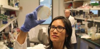 Research: Canadian scientists identify new cellular target to weaken P. aeruginosa — a severe threat to patients with cystic fibrosis —