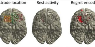 Study: After placing a bet, gamblers’ thought processes focus on regret about past bets — (Details)