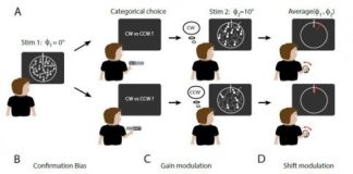 Study: People show confirmation bias even about which way dots are moving — (Details)