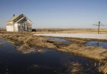 Research: More intensive water cycle could have impact on biodiversity, human health, and water and food security —