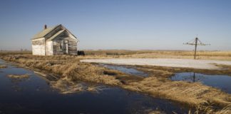 Research: More intensive water cycle could have impact on biodiversity, human health, and water and food security —