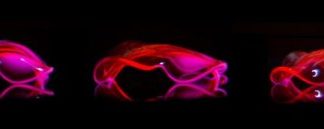 Tech: Hydrogels capable of complex movement created — (Report)