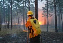 Research: Most fire in Florida goes undetected —