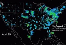 Tech: Weather forecasting sheds light on where and when birds will fly — (Report)