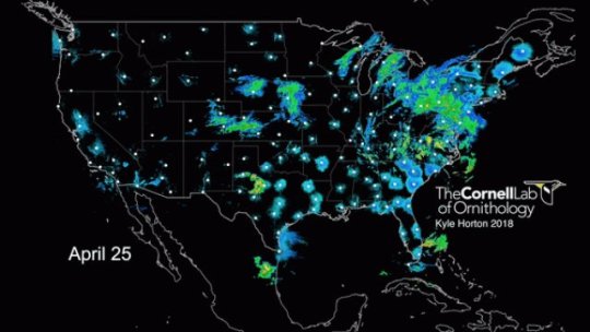 Tech: Weather forecasting sheds light on where and when birds will fly ...