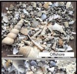 Research: Fossils on the move can distort patterns of mass extinctions —