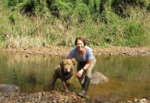 Research: Sniffing out error in detection dog data —