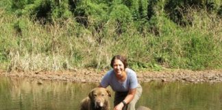 Research: Sniffing out error in detection dog data —