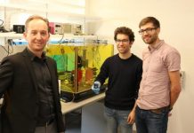 Tech: New photonic chip promises more robust quantum computers — (Report)