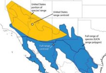 Research: New light on the controversial question of species abundance and population density —