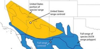 Research: New light on the controversial question of species abundance and population density —